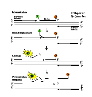 玩彩网·「中国区」官方网站